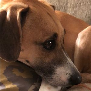 Meet your Posher, Brenda